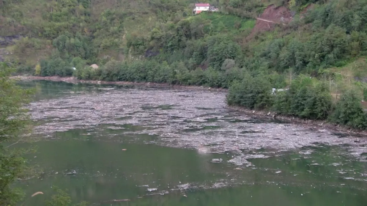 Artvin\'de Sel, Barajı Tehdit Ediyor