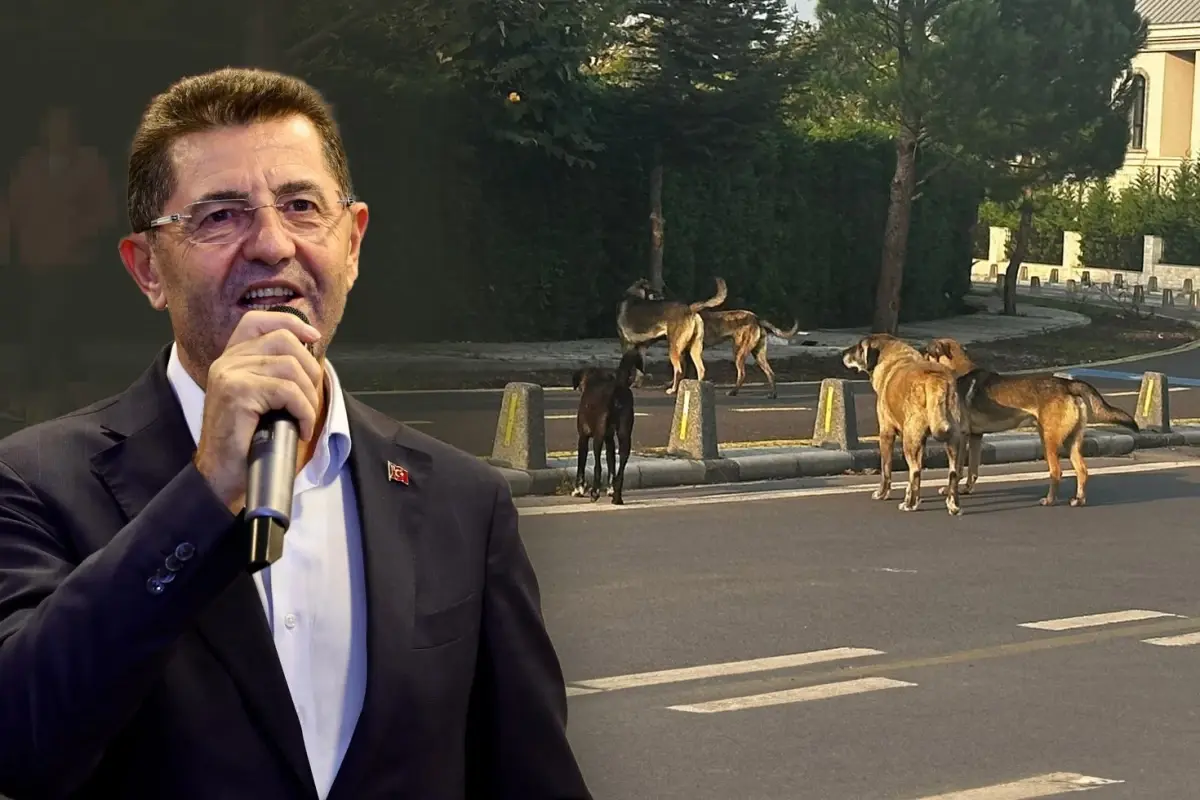 Çekmeköy Belediyesi\'nin duyarsızlığı ilçe halkını isyan ettirdi