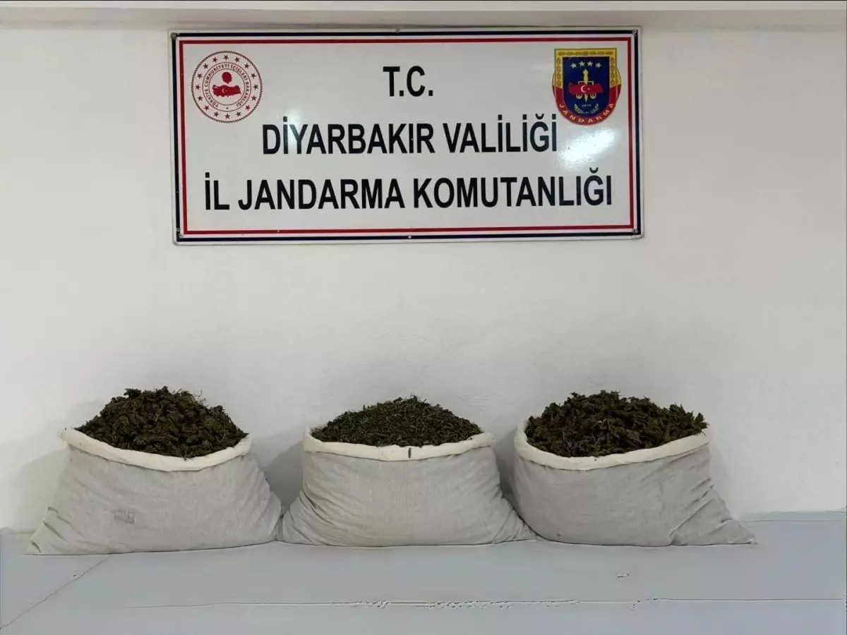 Lice\'de Uyuşturucu Operasyonu: 15 Kilo Skunk Ele Geçirildi