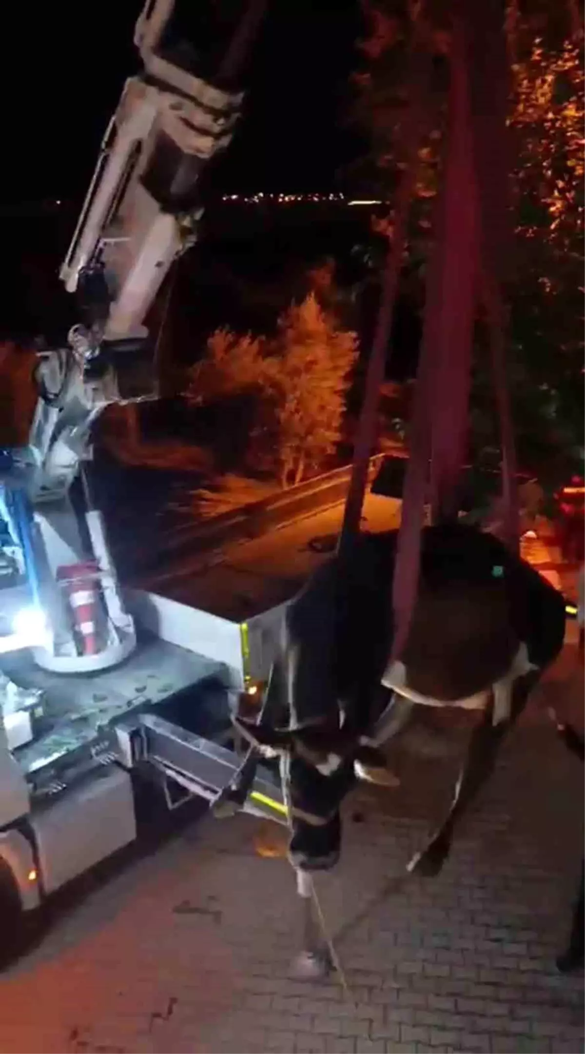 Mahsur İnek İtfaiye ile Kurtarıldı