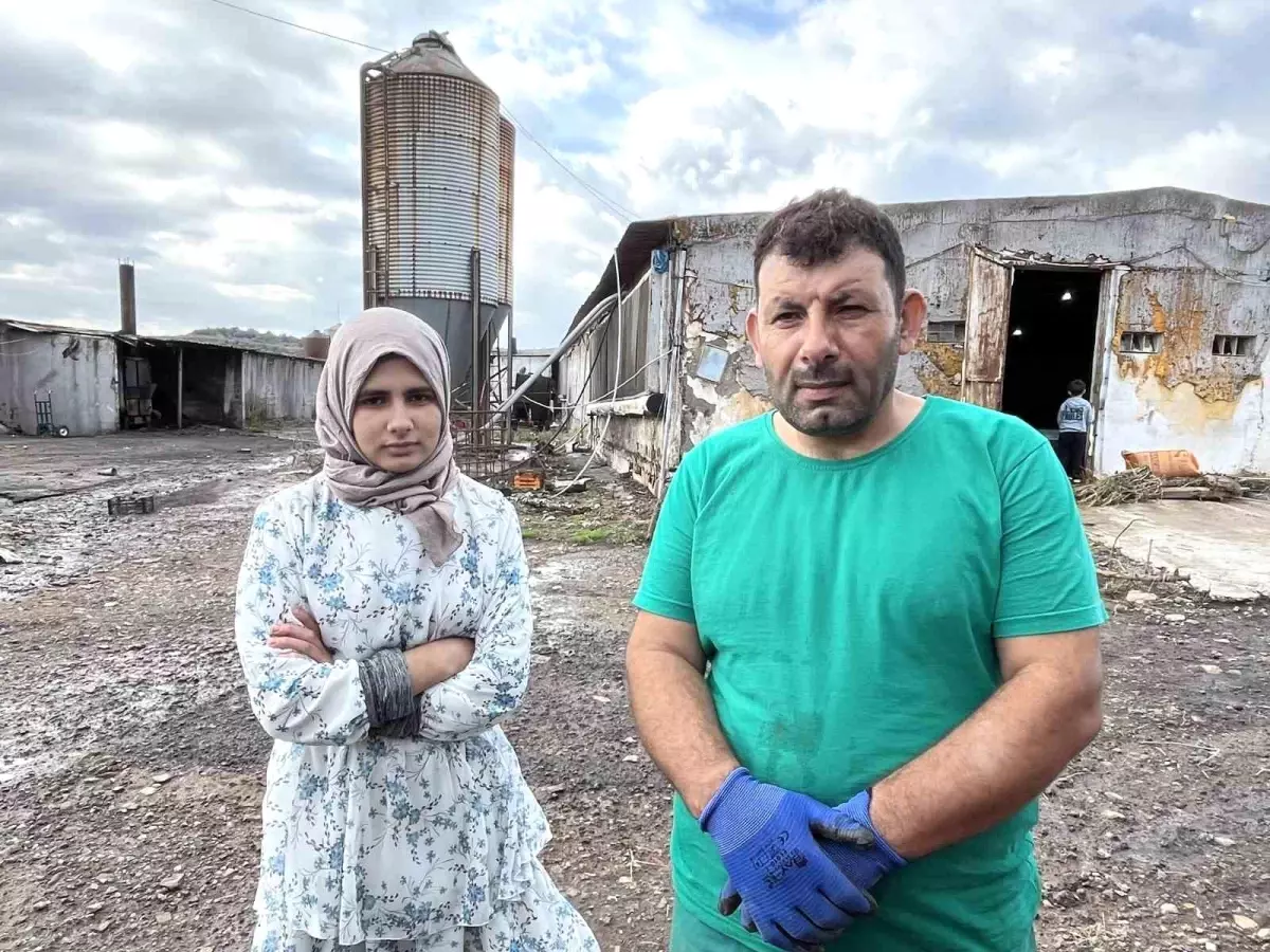 Foça\'da Sel Felaketi: Kayıp Yaşlı Adam için Arama Çalışmaları Sürüyor