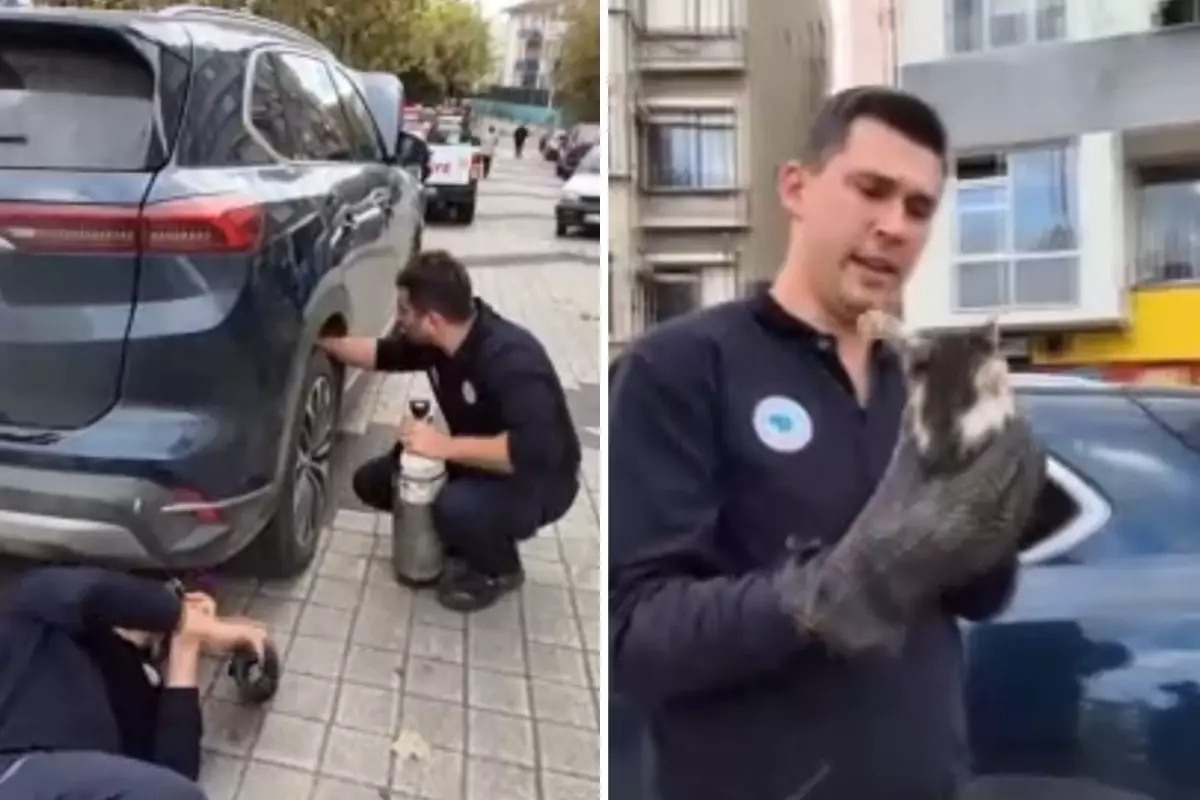 Kediyi otomobilden çıkarmak için hava tüpü kullandılar