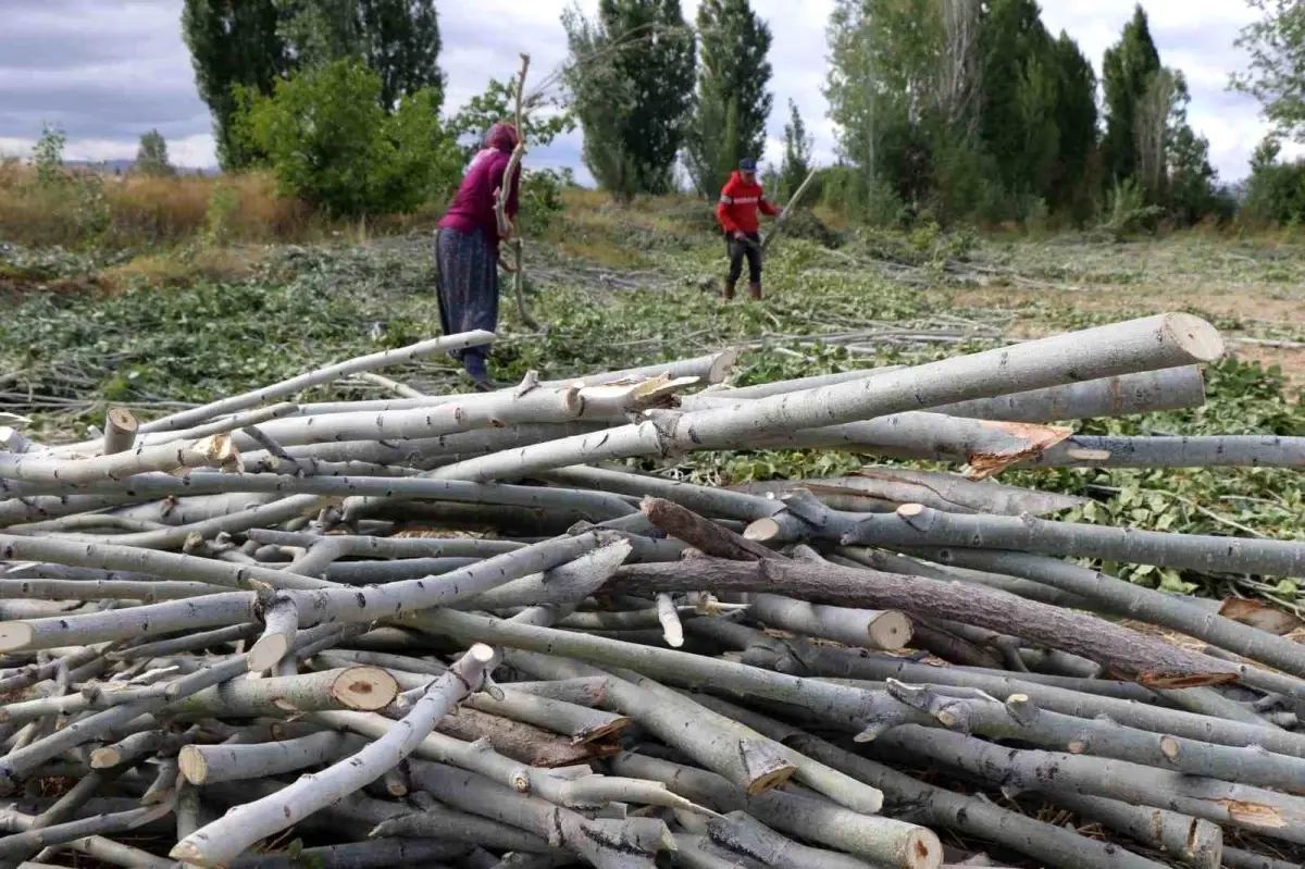 Erzincan\'da Kış Hazırlıkları Devam Ediyor