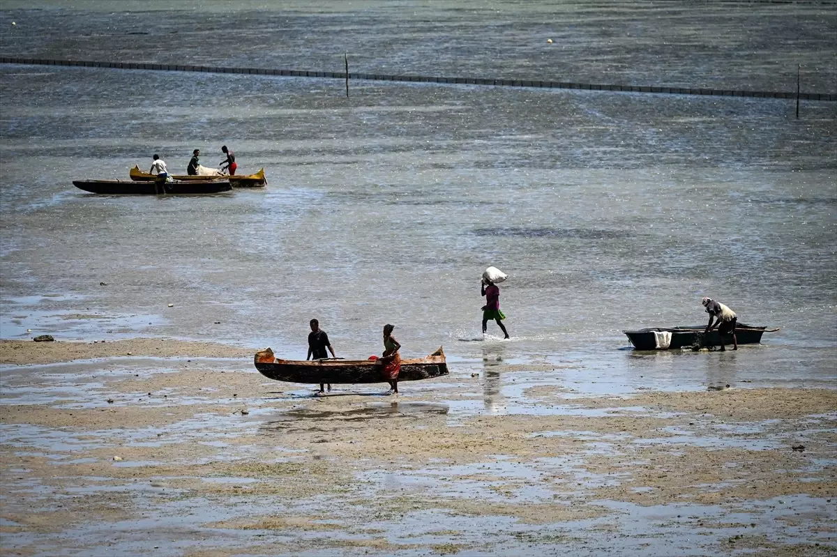 Toliara\'nın Balıkçılık Ekonomisi