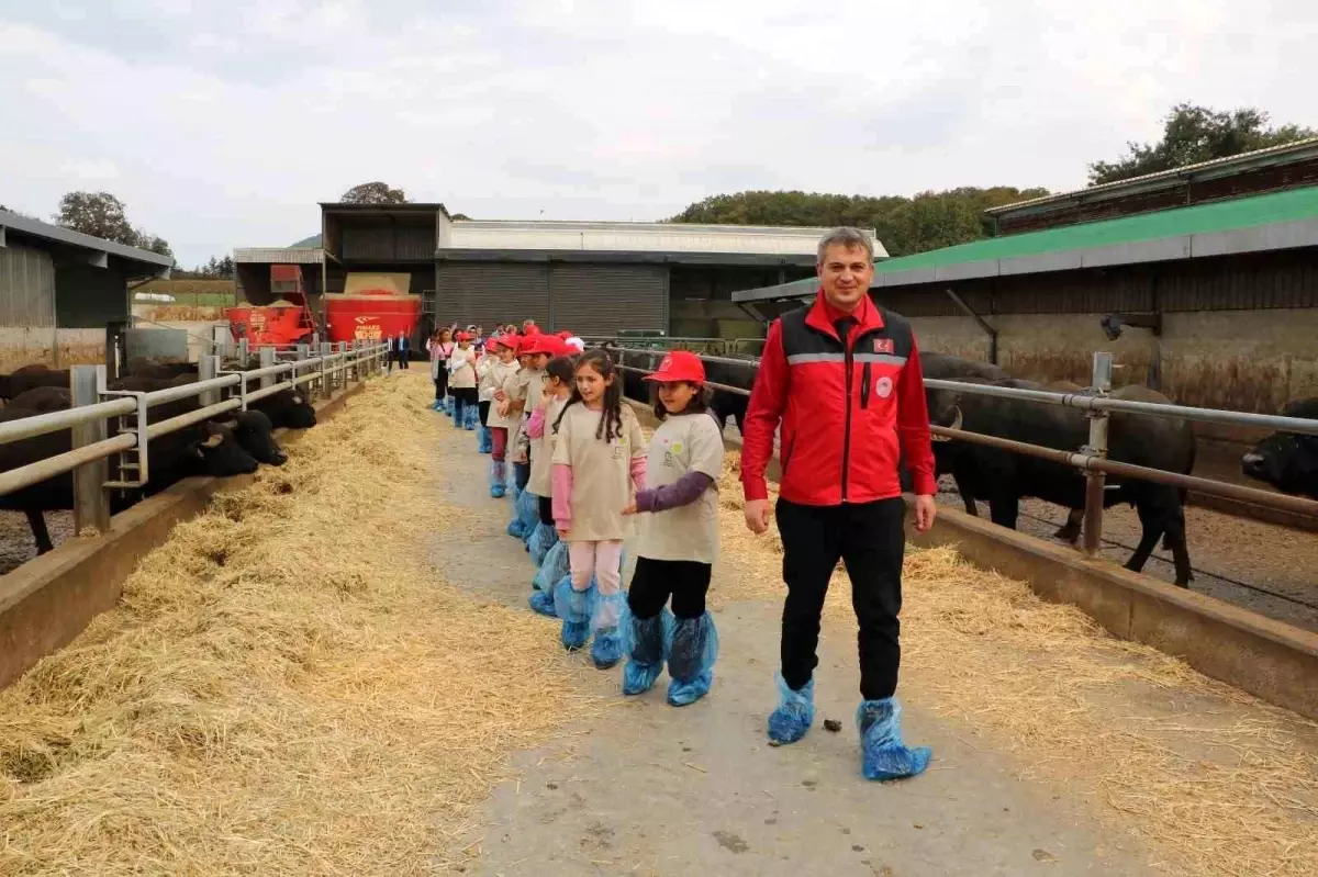 Kandıra\'da Lider Çocuk Tarım Kampı