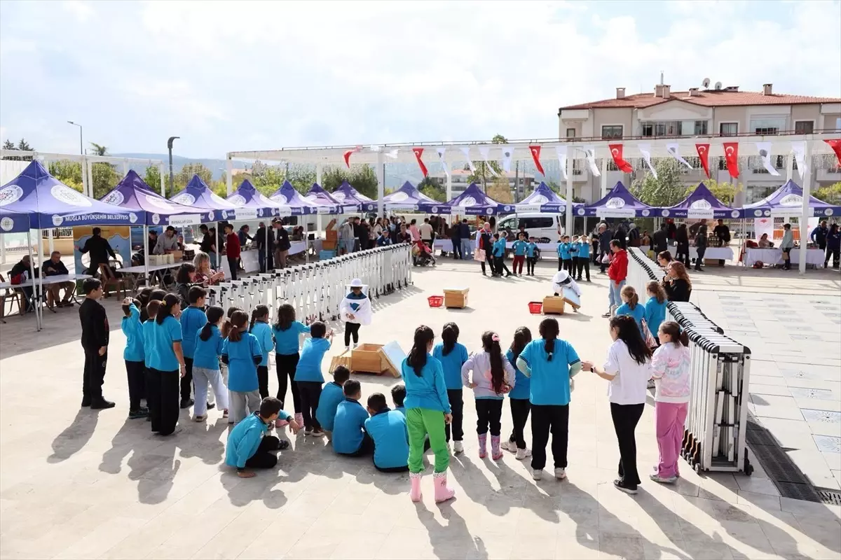 Çam Balı Hasat Şenliği Muğla\'da Yapıldı