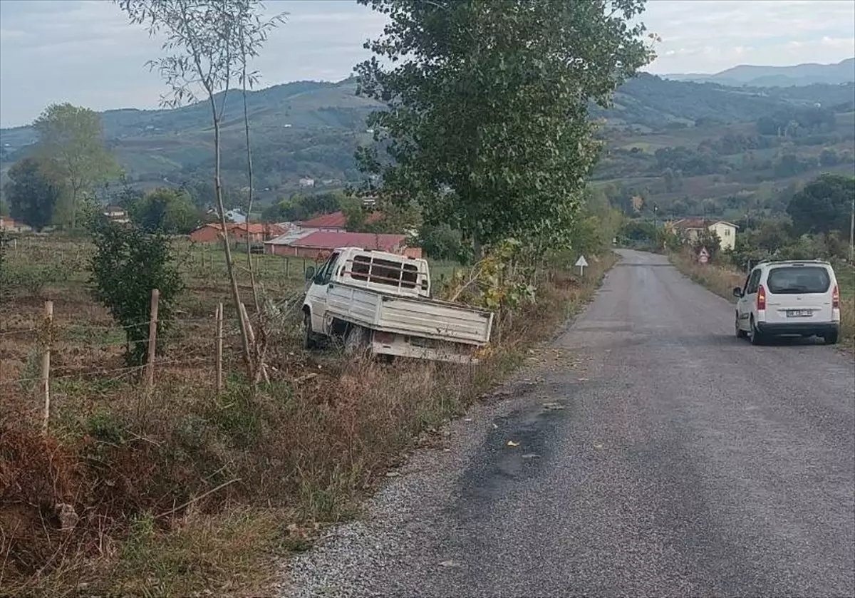 Bafra\'da Kamyonet Bahçe Çitlerine Çarptı