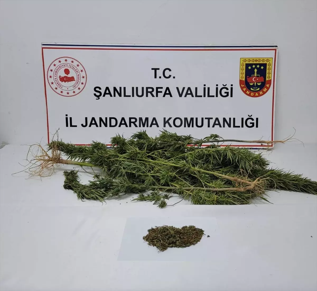 Suruç\'ta Uyuşturucu Operasyonu