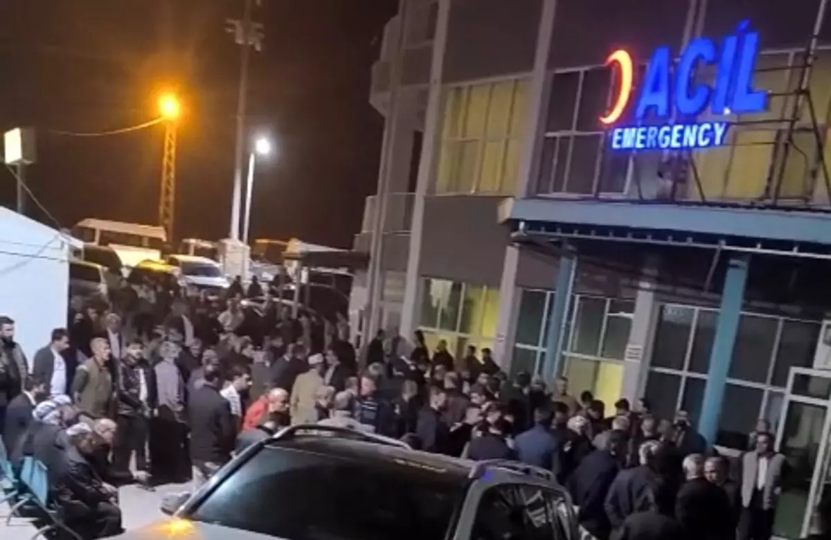 Ceviz Toplayan Adam Düşerek Hayatını Kaybetti