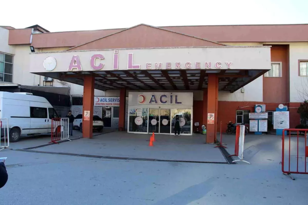 Şırnak\'ta Çoban Köpekleri Kavgası Kanlı Bitti