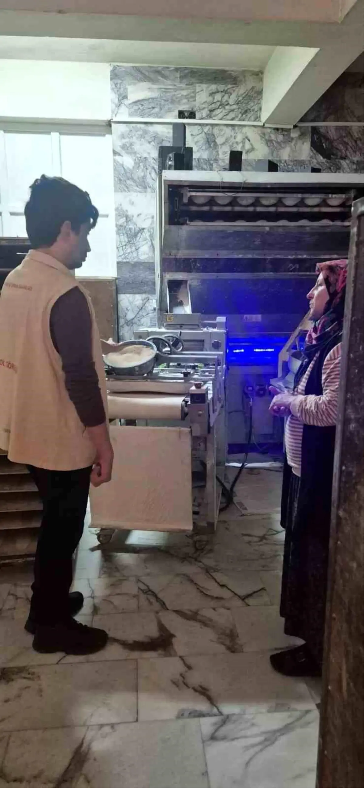 Söke\'de Gıda Güvenliği Denetimi