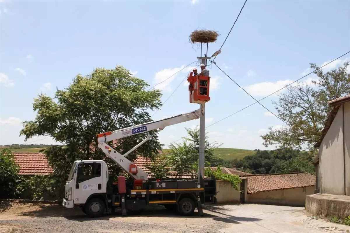 TREDAŞ\'tan Leylek Yuvalarına Dronlu Bakım
