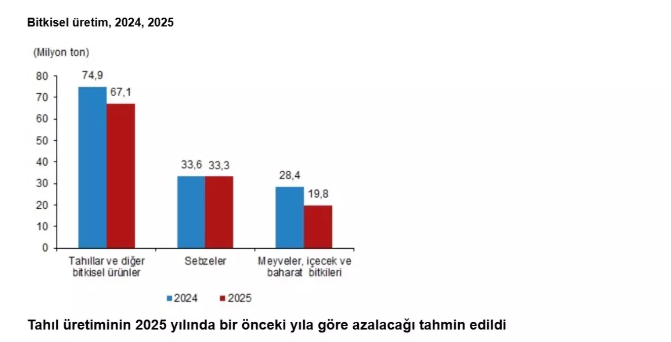 2025\'te Tarımsal Üretimde Büyük Düşüş