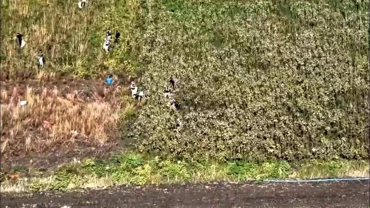 Hatay\'da Bin 876 Kök Kenevir Ele Ge geçirildi