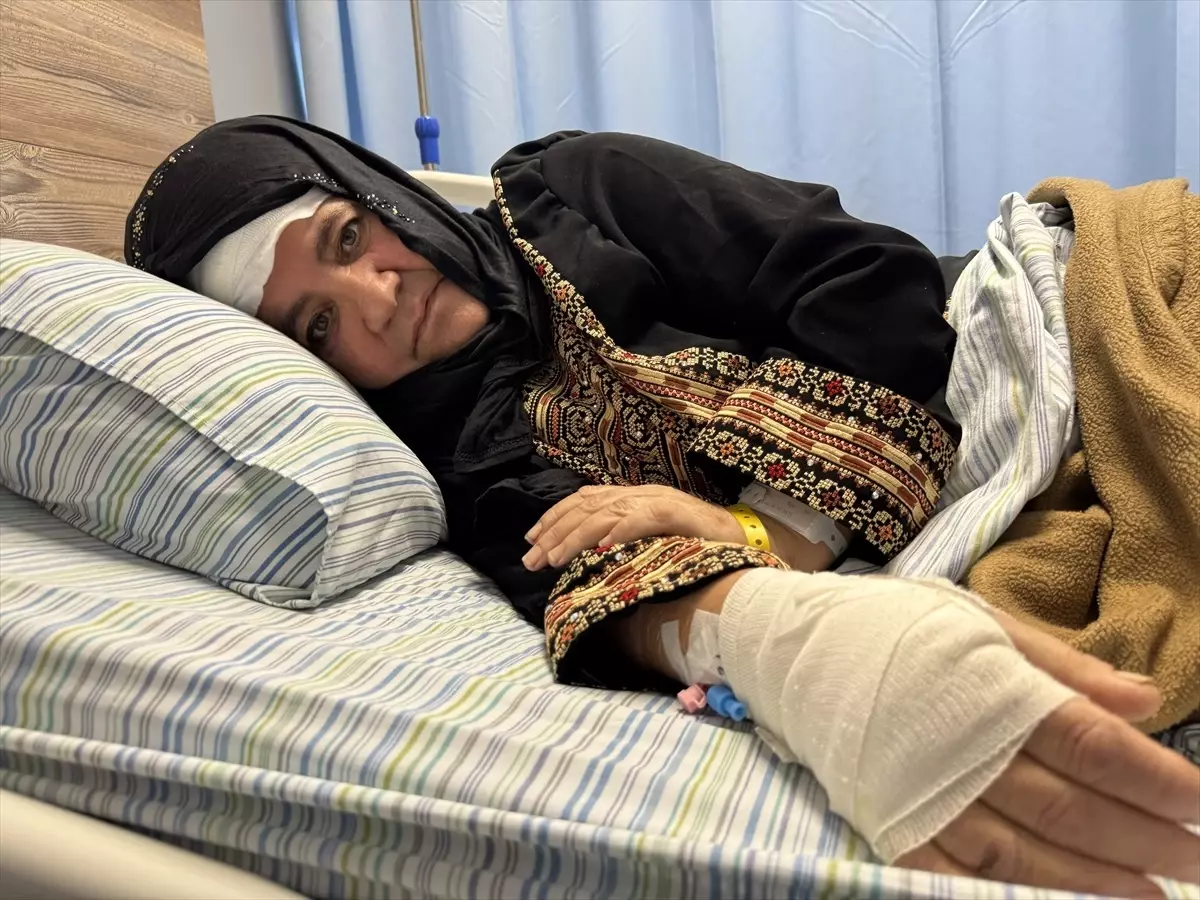 İşgal Altında Zeytin Hasadı: Saldırıya Uğradı