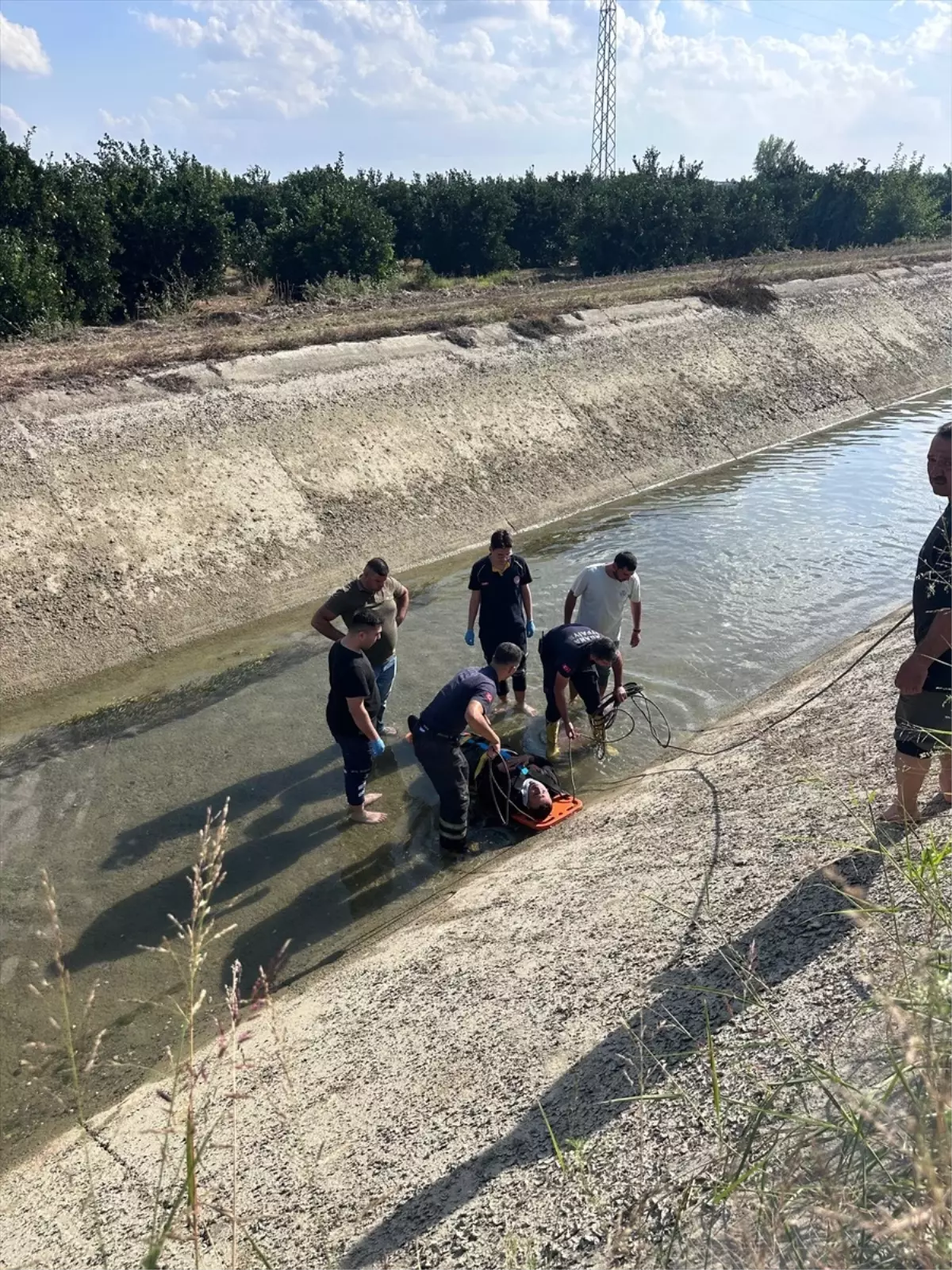 Seyhan\'da Sulama Kanalına Düşen Kurtarıldı