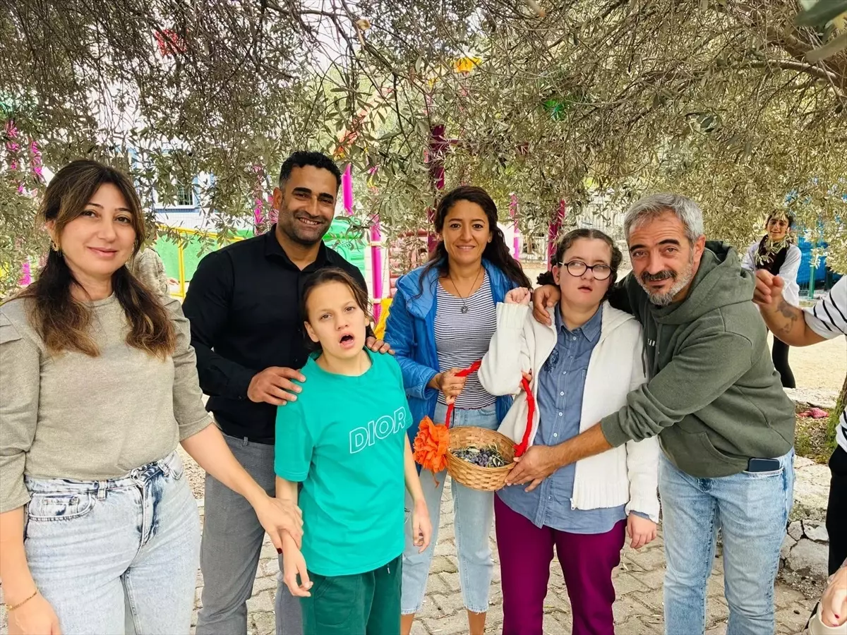 Engelli Öğrenciler Zeytin Hasadı Yaptı