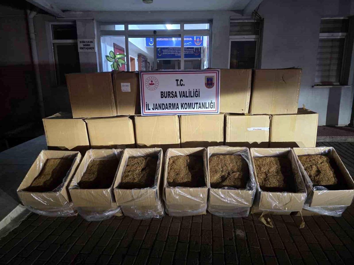 Bursa\'da 750 kg Kaçak Tütün Ele Ge geçirildi