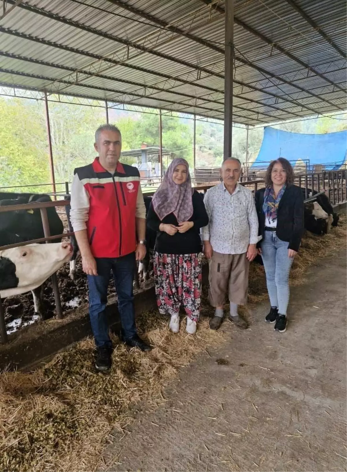 Kadın Çiftçi Süt Sığırcılığına Adım Attı