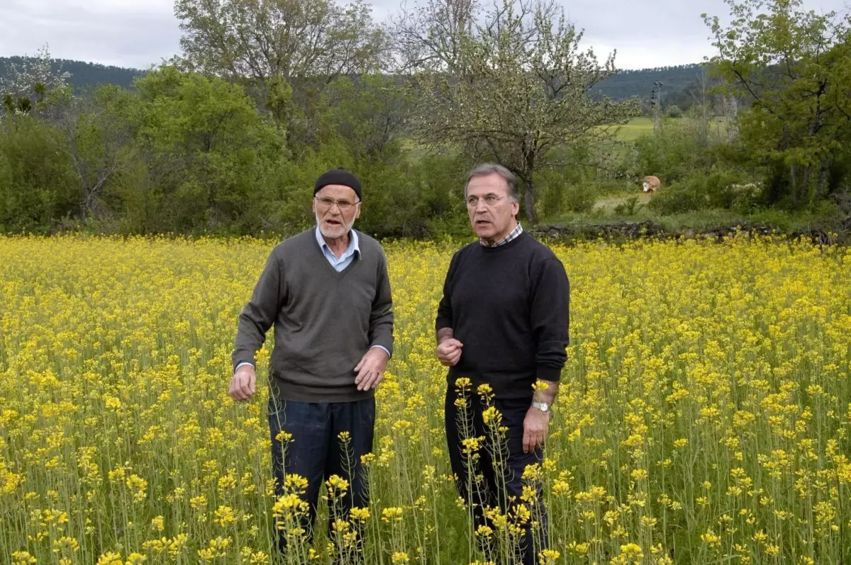 Abdullah Şahin Hayatını Kaybetti