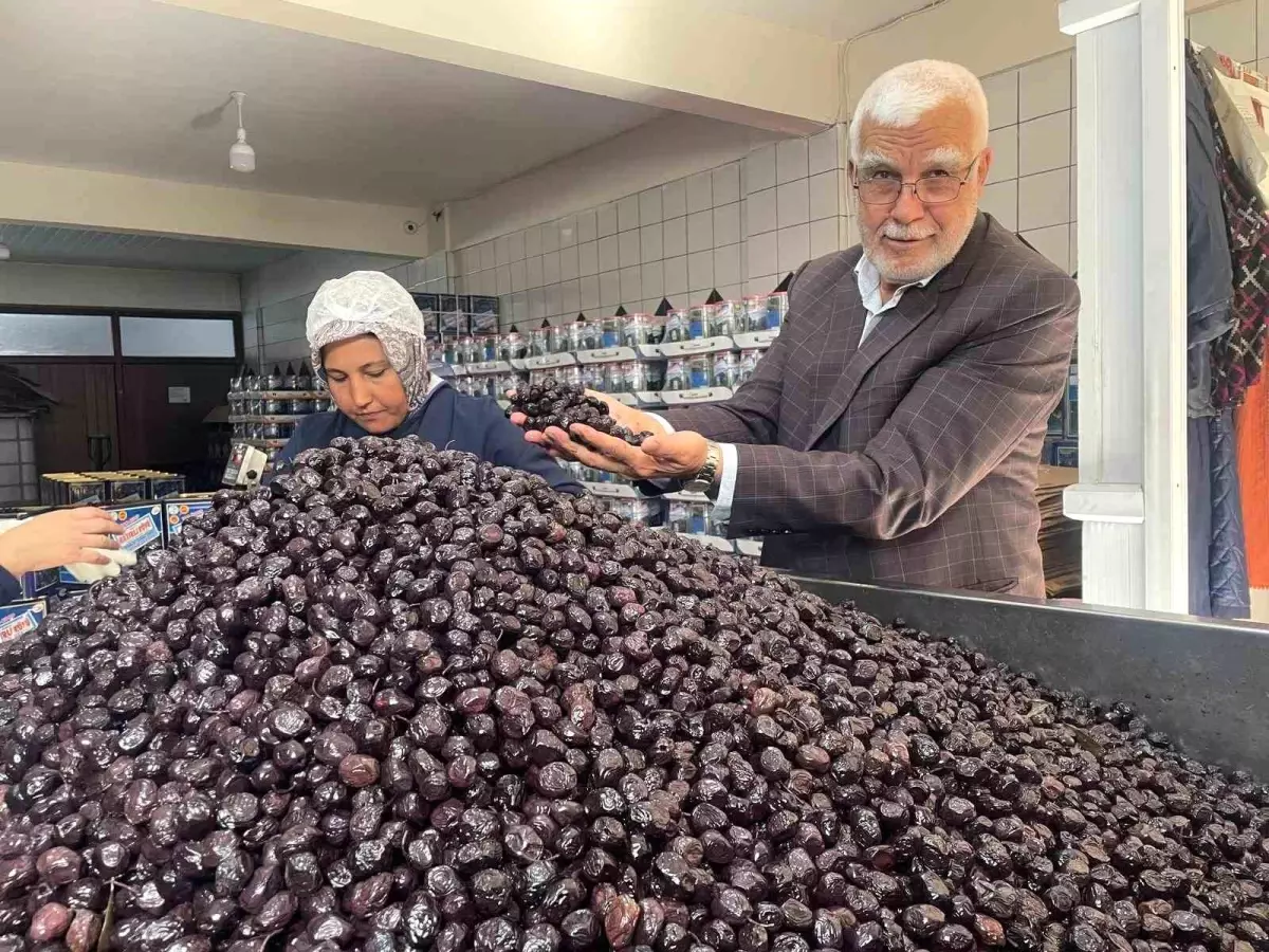 2025-2026 Zeytin Üretim Tahminleri Açıklandı