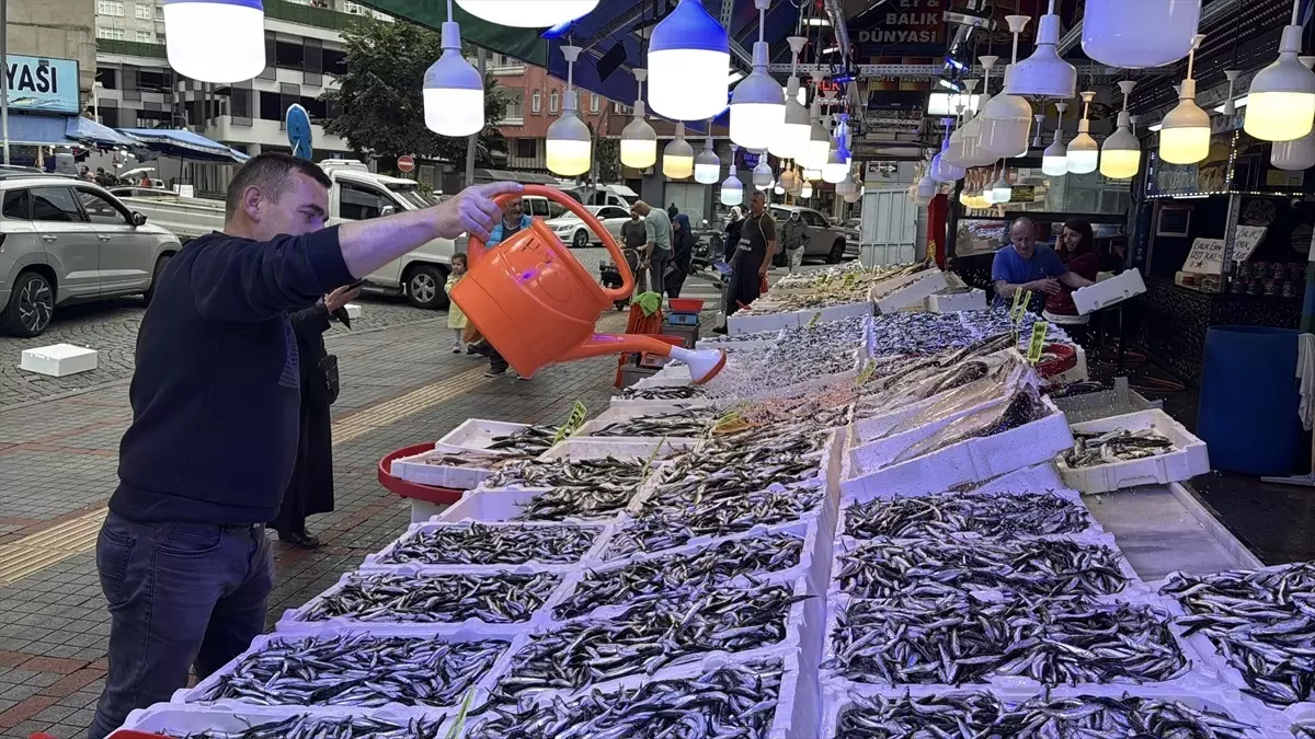 Rize\'de Hamsi Fiyatları Uygun