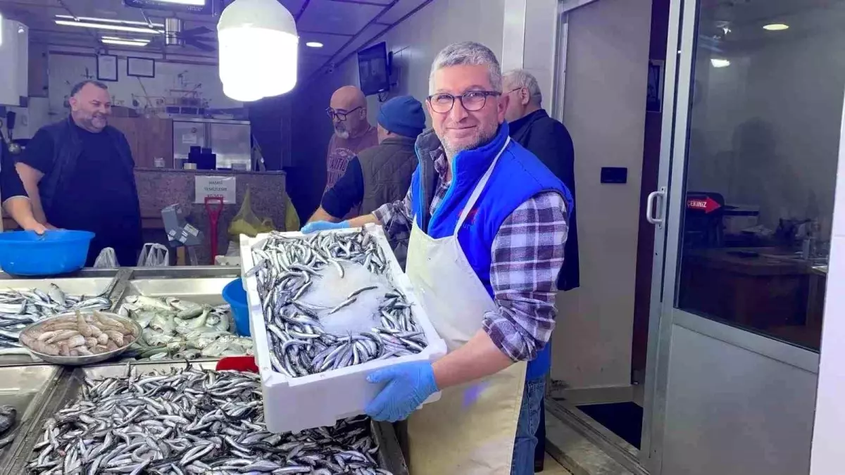 Sinop\'ta Hamsi Bolluğu, Fiyatlar Düşüyor