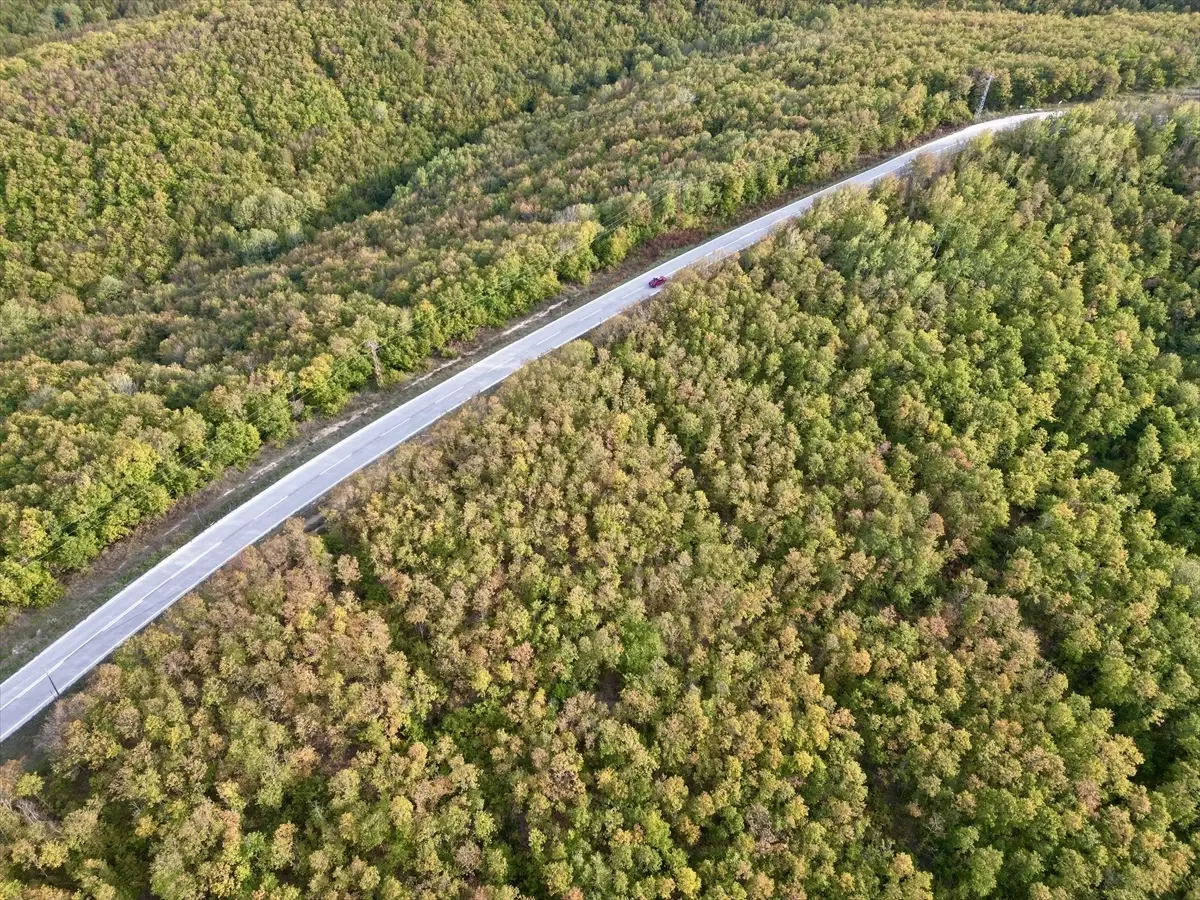 Sonbahar Renkleri Saray\'da