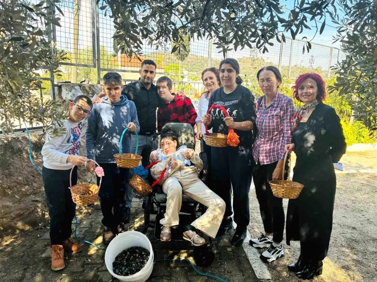 Yahşi Okulu\'ndan Zeytin Hasadı