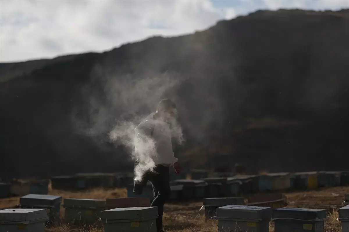 Dede Mesleği Arıcılığı Devam Ettiriyor