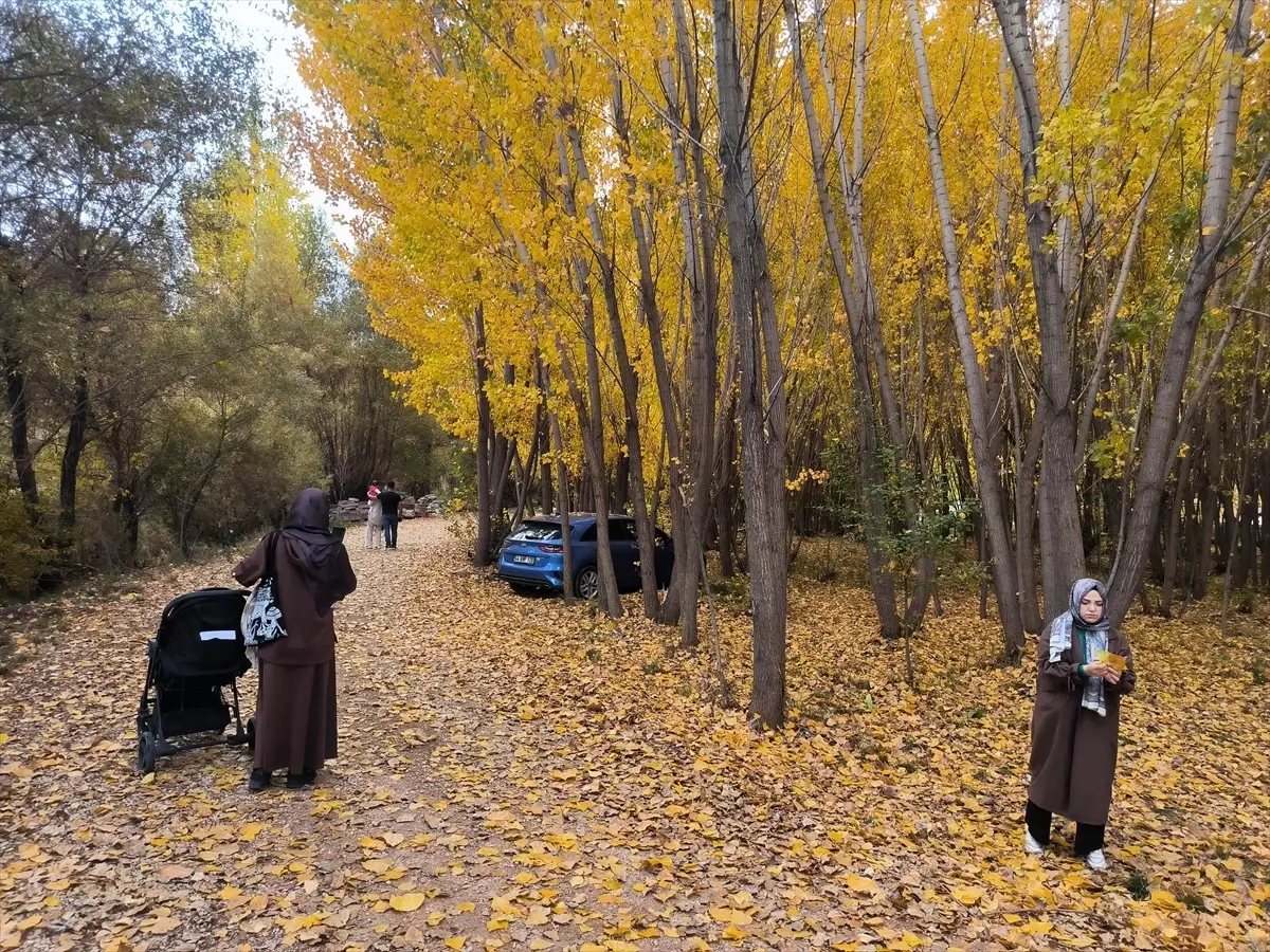 Doğanşehir Sonbahar Renklerine Büründü