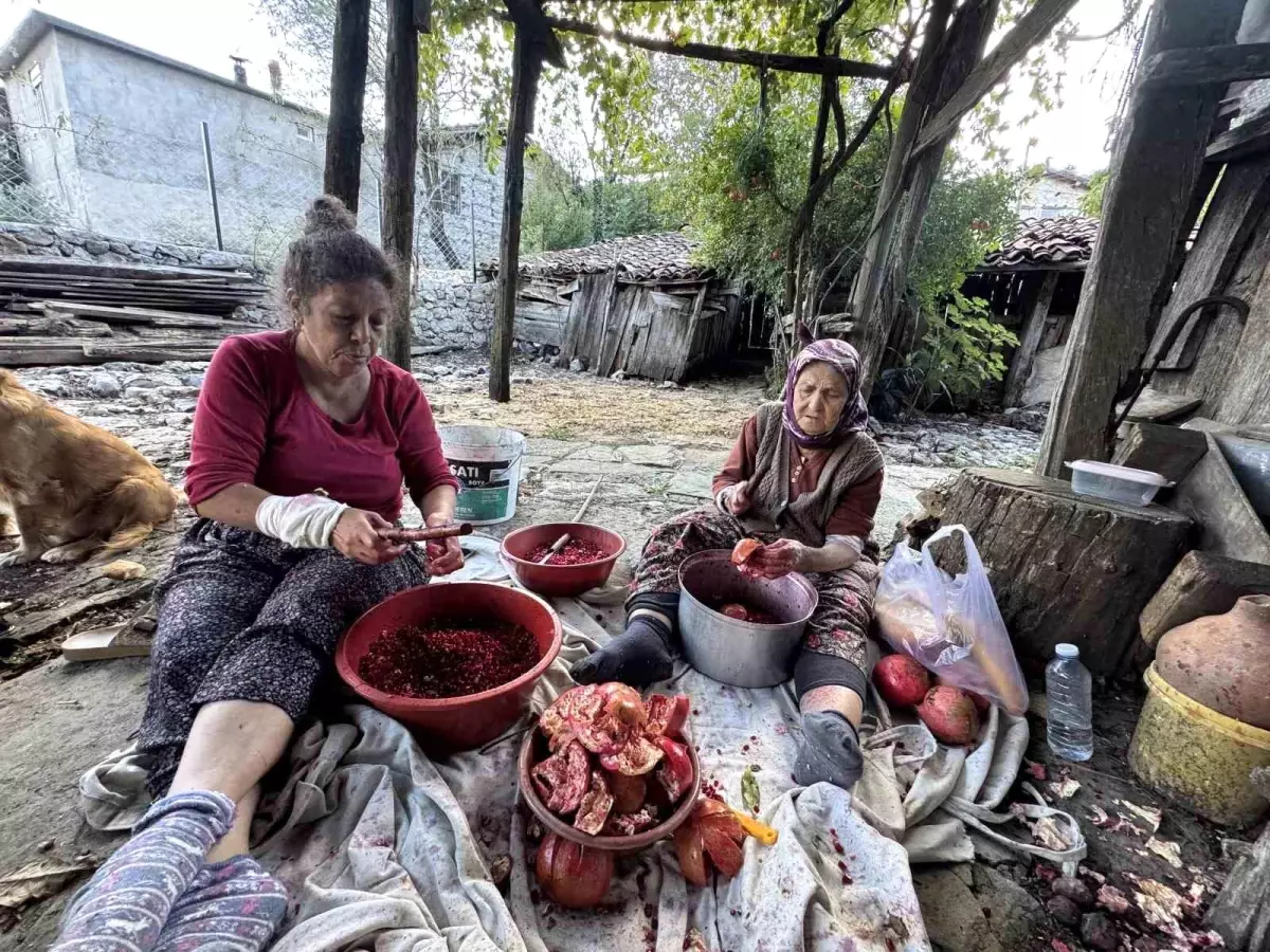 Kadınlar Akseki\'de Nar Ekşisi Üretiyor