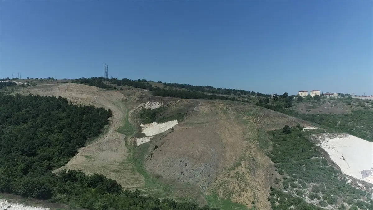 Kocaeli\'de 60 Dönüme 4.500 Fidan Dikilecek