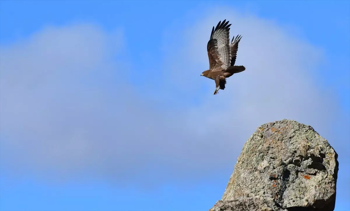 Keklik Vadisi\'nin Sonbahar Güzelliği