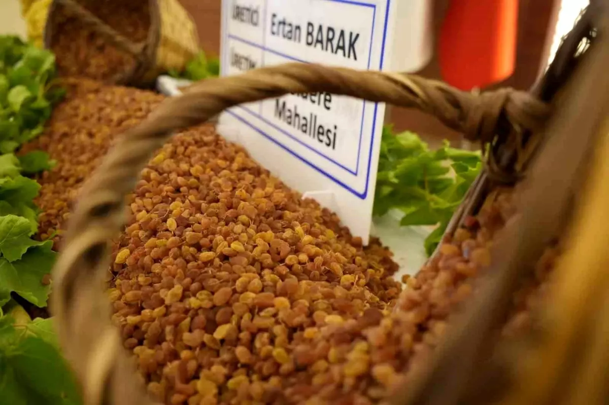 Manisa Tarım İhracatı 706 Milyon Doları Aştı