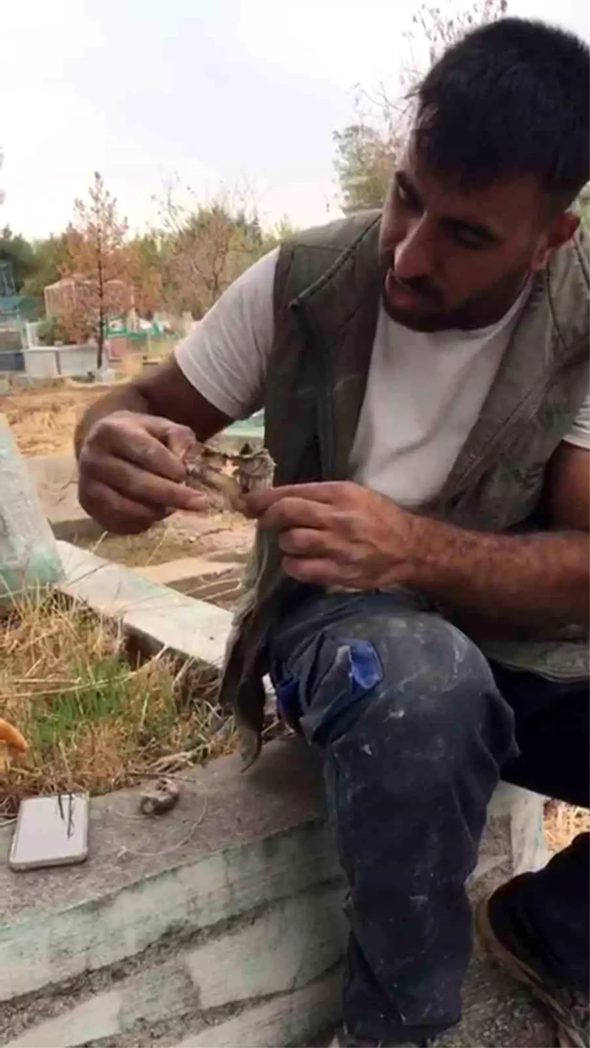 Mezarlıkta kan donduran manzara! Bulur bulmaz yaktı