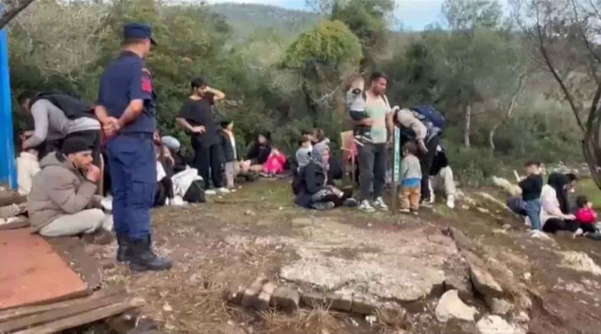 Milas\'ta 74 Kaçak Göçmen Yakalandı