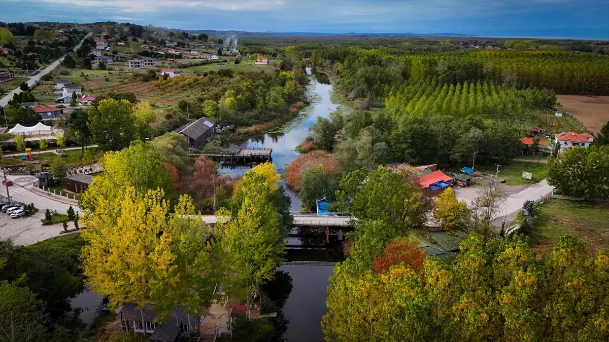 Sonbahar Renk Cümbüşü Acarlar Longozu\'nda