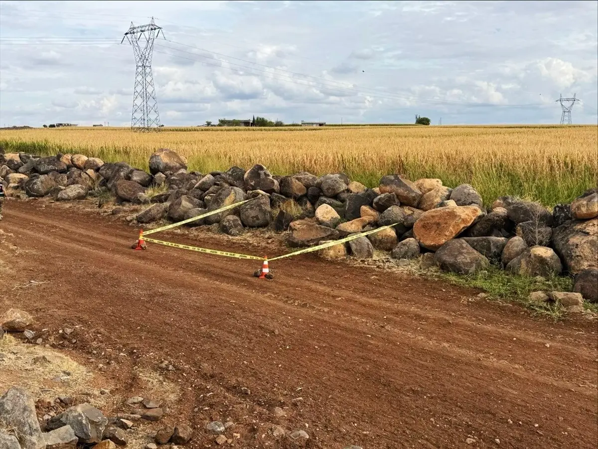 Siverek\'te Tarla Mermisi Bulundu