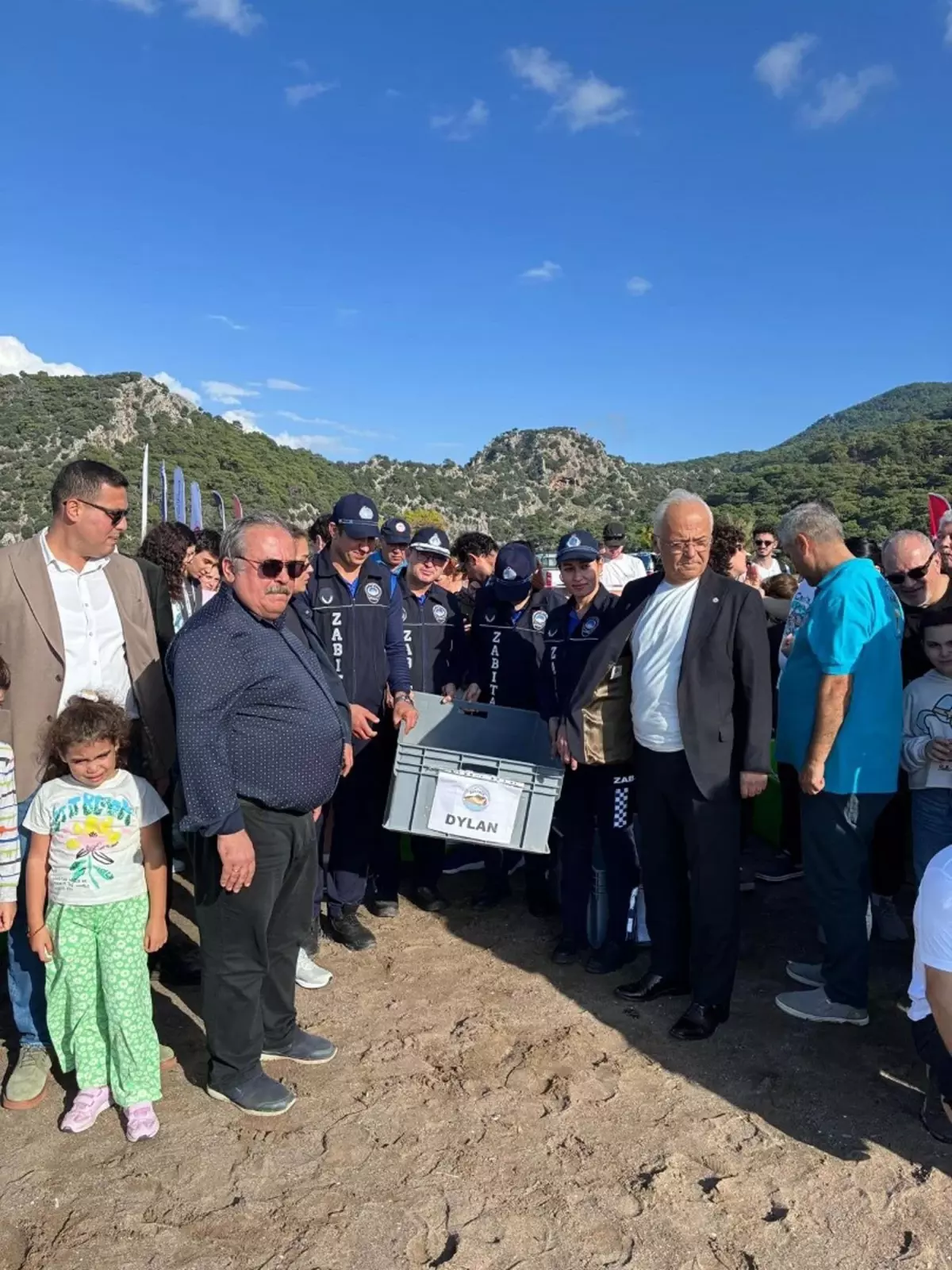 Deniz Kaplumbağaları Çağıl Dönüşü