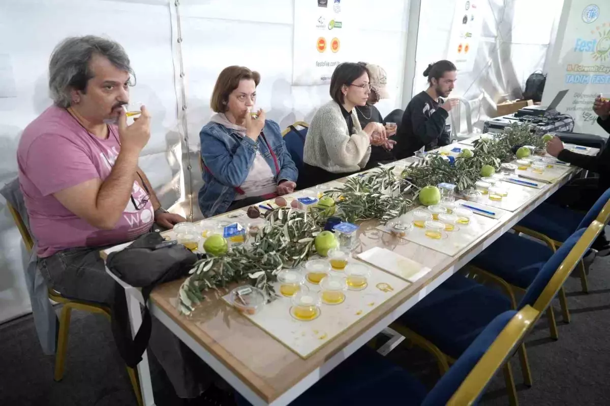 Edremit\'te Zeytinyağı Tadım Eğitimi