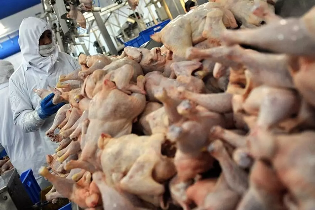 2 bin tondan fazla tavuk eti geri çağrıldı! İçlerinden metal çıktı