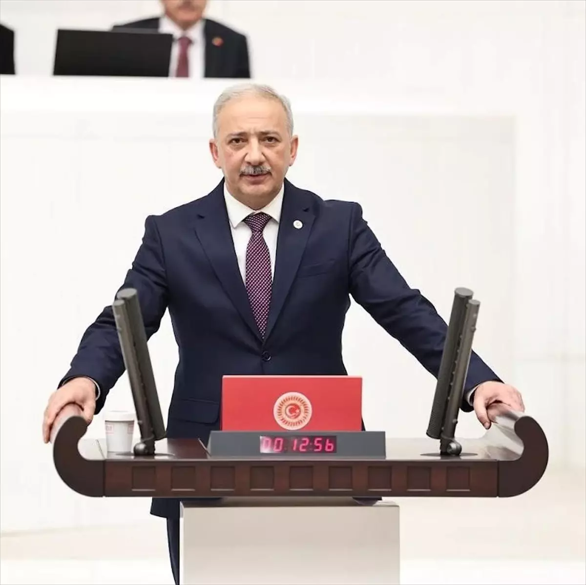 AK Parti Muğla Milletvekili Mete\'den Cumhuriyet Bayramı mesajı