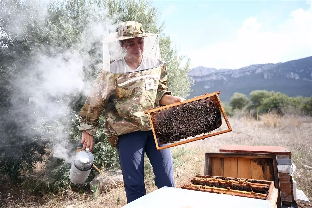 Kadın Arıcı Metanet Çelik\'in Başarısı