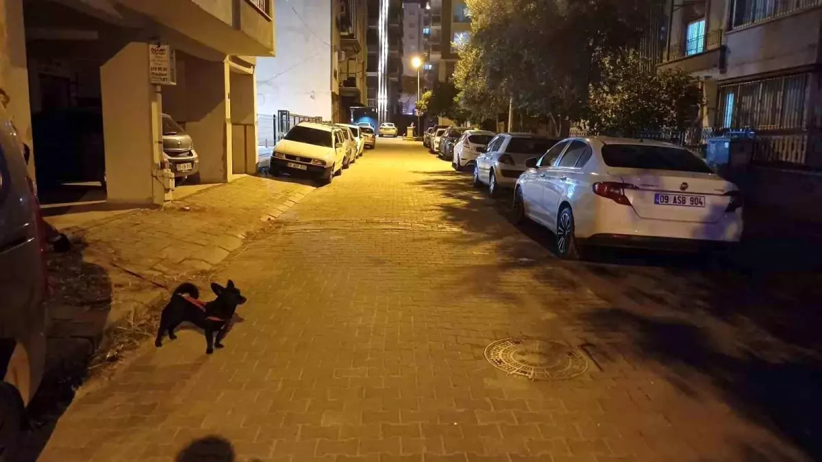 Aydın\'da 6.1 Büyüklüğünde Deprem Paniği