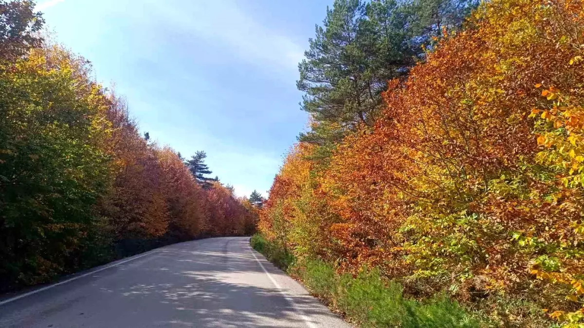 Pazaryeri\'nde Sonbahar Güzelliği