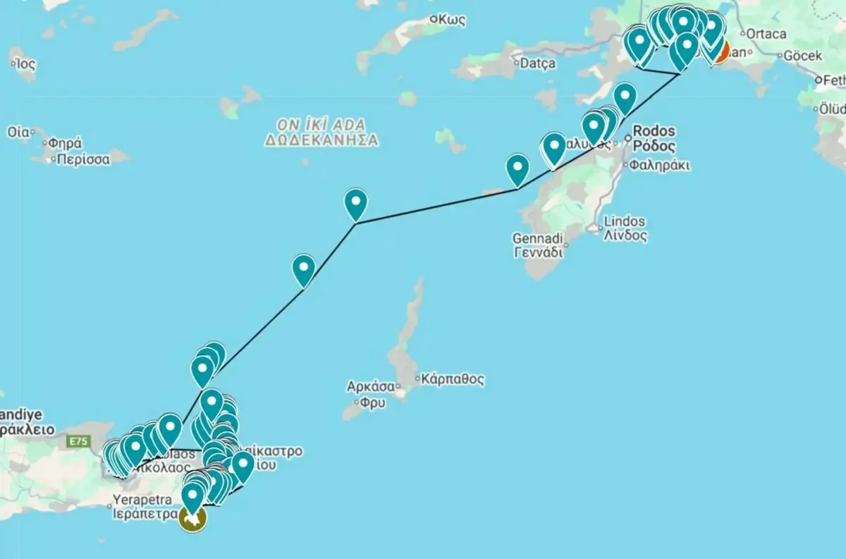 Cumhuriyet Adlı Caretta Caretta 6 Bin Km Yüzdü