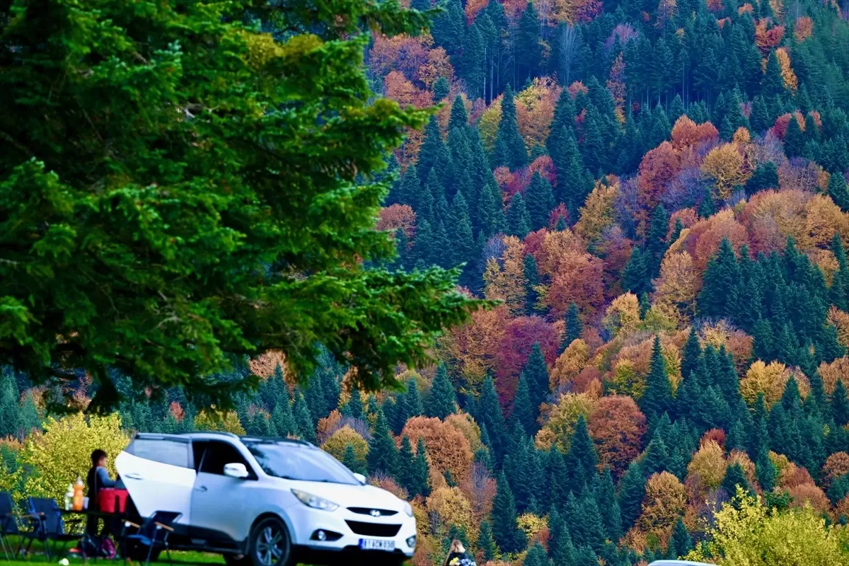 Sonbahar Renkleri Düzce\'de