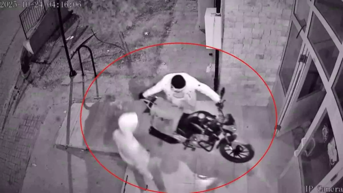 Hatay\'da Motosiklet Hırsızlığı Kamerada