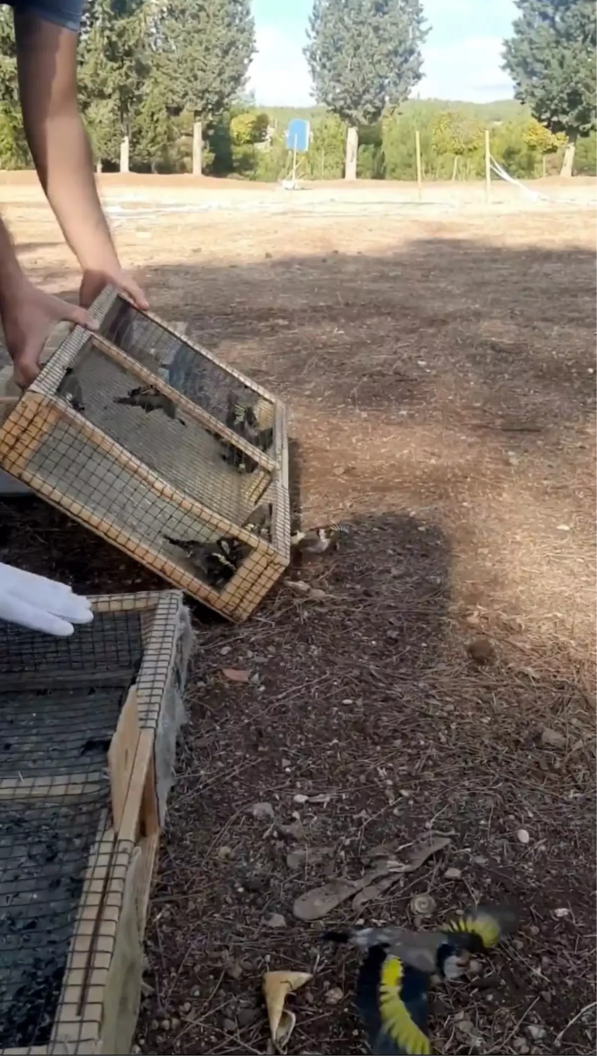 Kahramanmaraş\'ta Yasa Dışı Avın Önü Kesildi